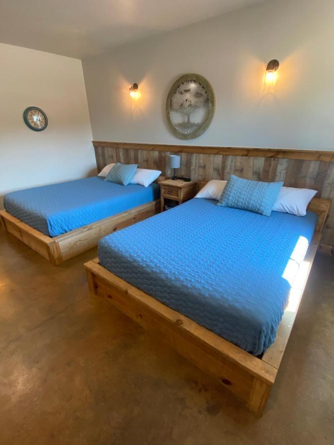The Woods Lodging Kingston Room photo